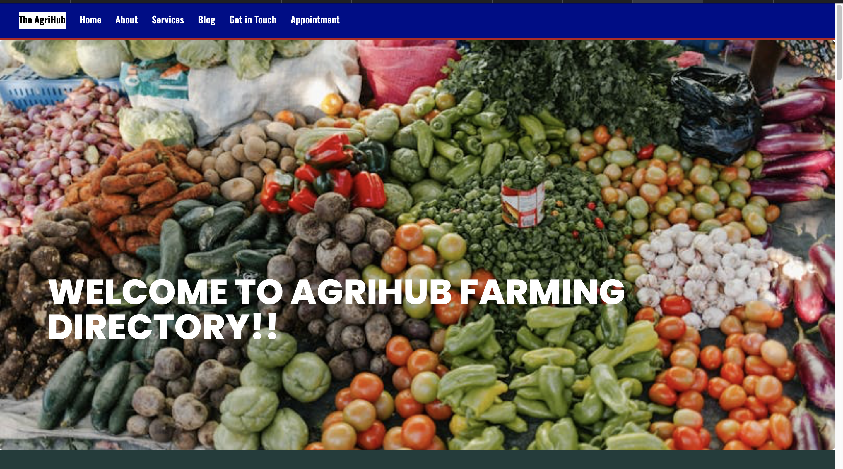 AgriHub Project